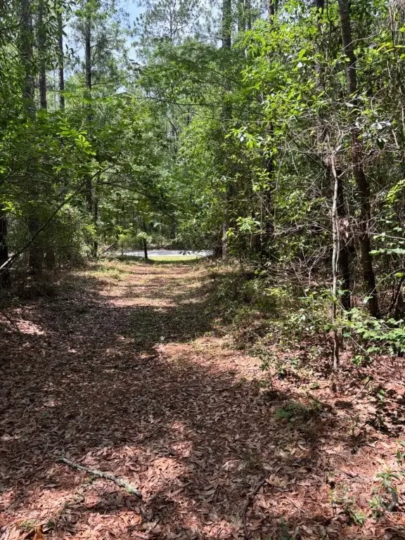 307 Arden Loop Circle, Ellabell, GA 31308 - Image #3