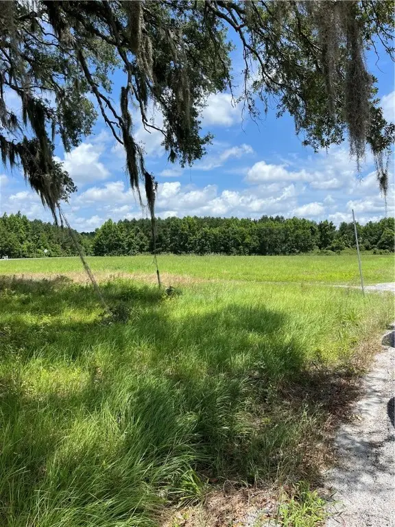 0 Pound Road, Guyton, GA 31312 - Image #1