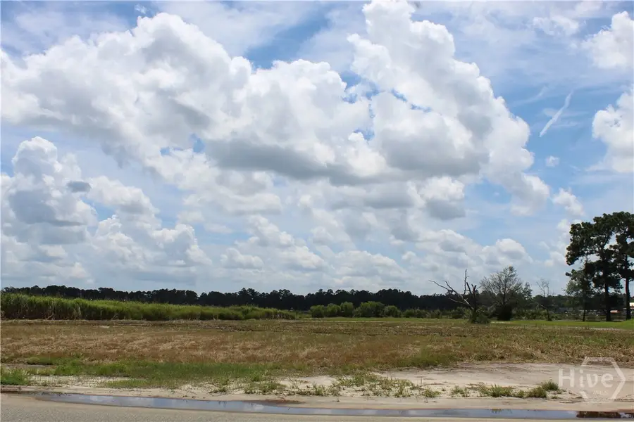24 Jerico Marsh Lot 24 Road, Midway, GA 31320 - Image #2