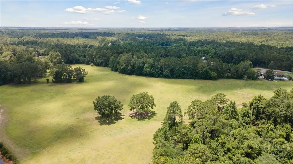 35+ Acres Wells Road, Hinesville, GA 31313 - Image #1