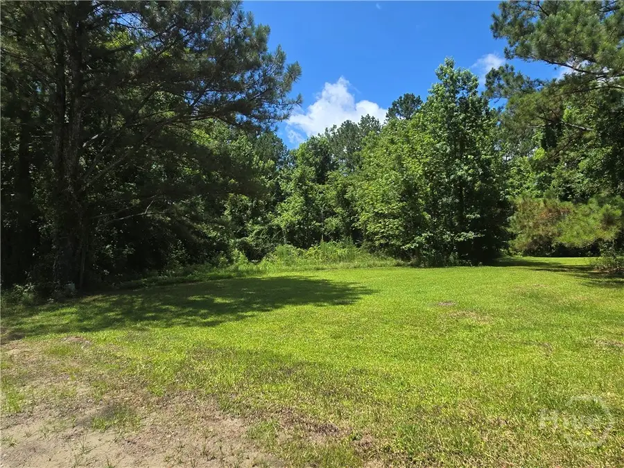 1 Acre Ga Highway 251 Highway, Townsend, GA 31331 - Image #2