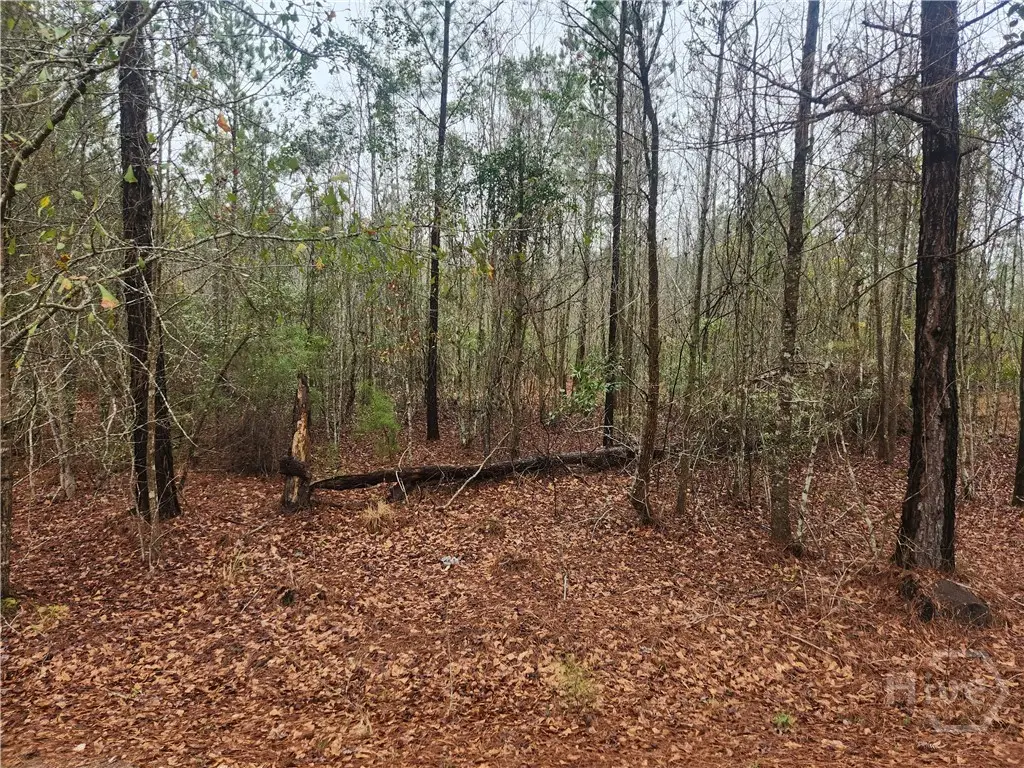 351 S Poplar Street, Pembroke, GA 31321 - Image #1