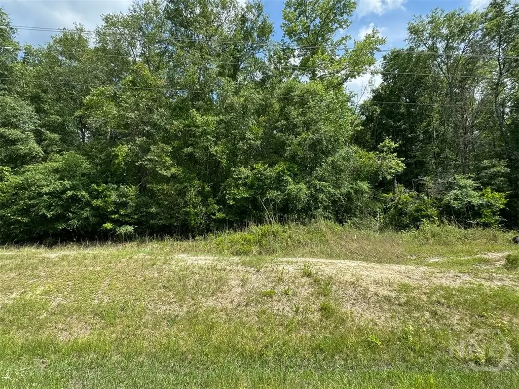 0 Reedsville Road, Clyo, GA 31303 - Image #1