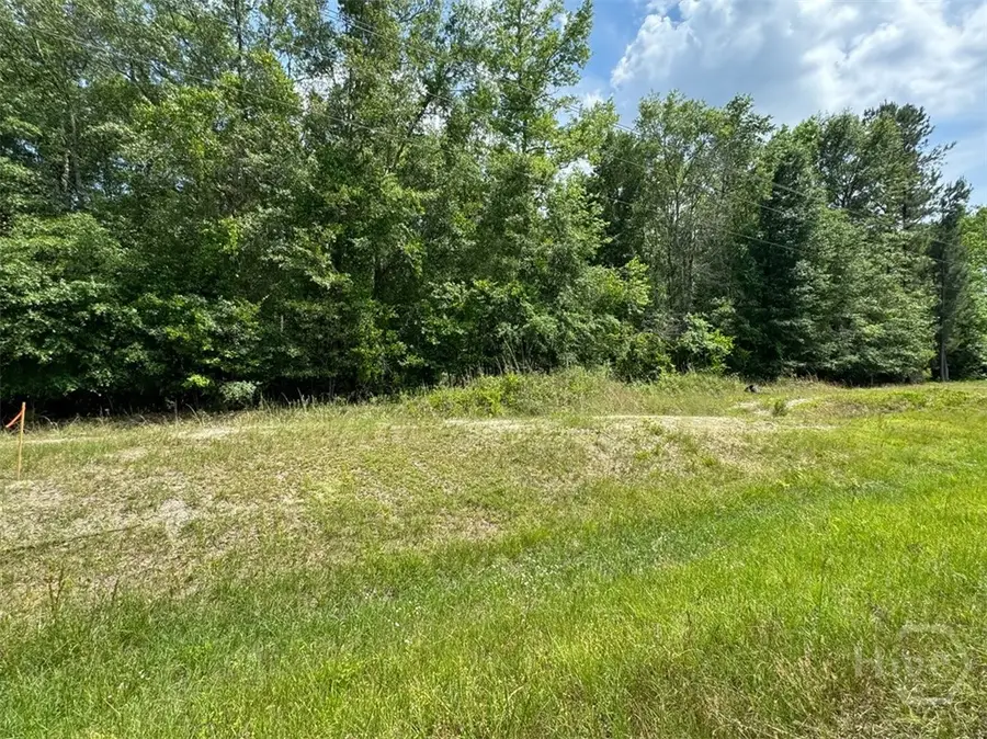 0 Reedsville Road, Clyo, GA 31303 - Image #3