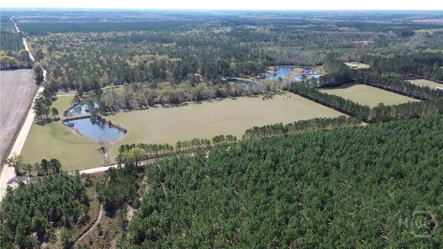 680 Porters Landing Road #LOT 1, Clyo, GA 31303 - #2