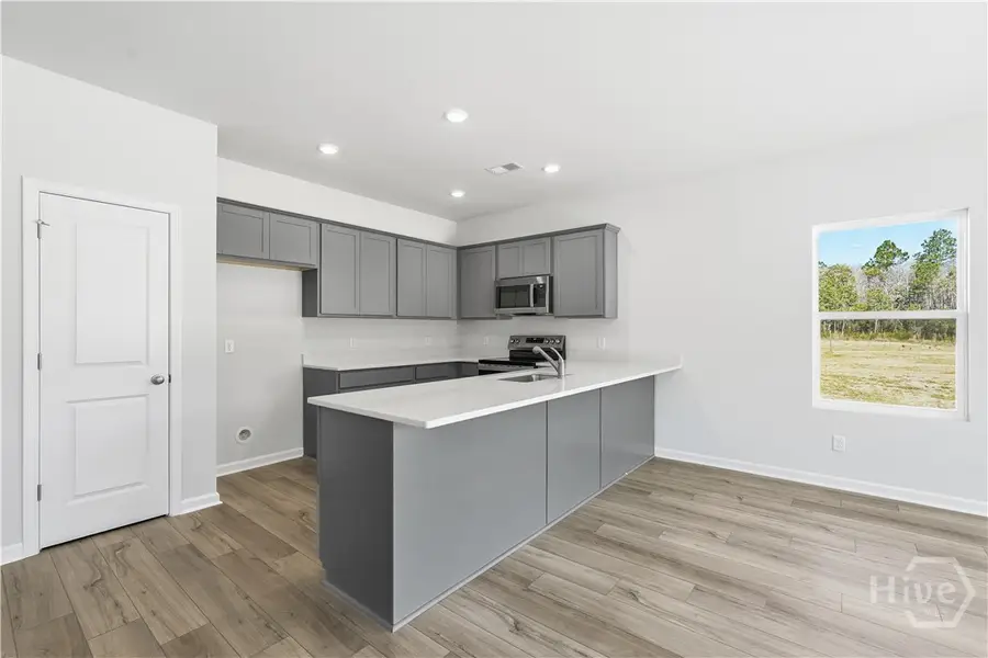 345 Palmetto Way Ne, Ludowici, GA 31316 - Image #3