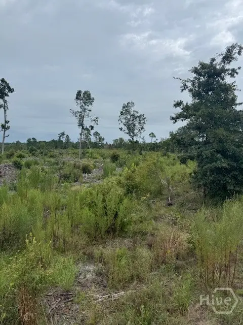 0 Kennedy Bridge Road, Register, GA 30452 - Image #3