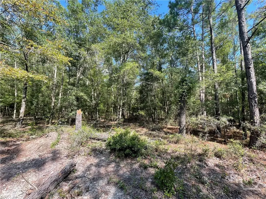 02 Old Augusta Rd, Clyo, GA 31303 - Image #3