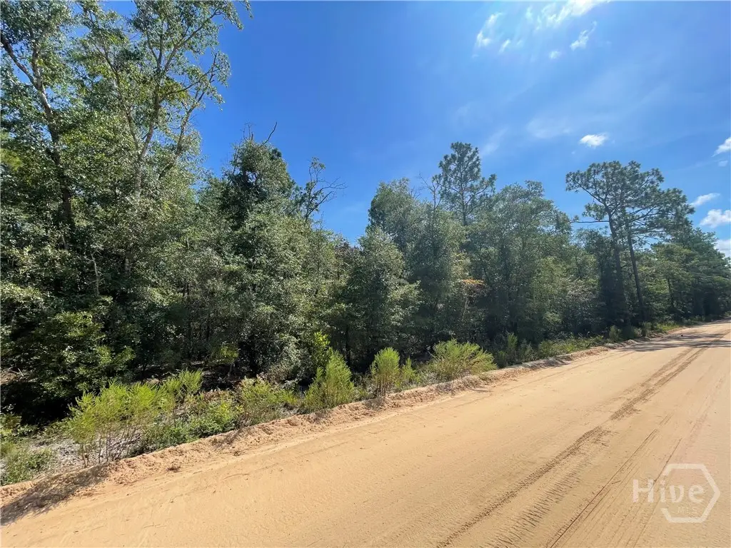 03 Old Augusta Rd, Clyo, GA 31303 - Image #1