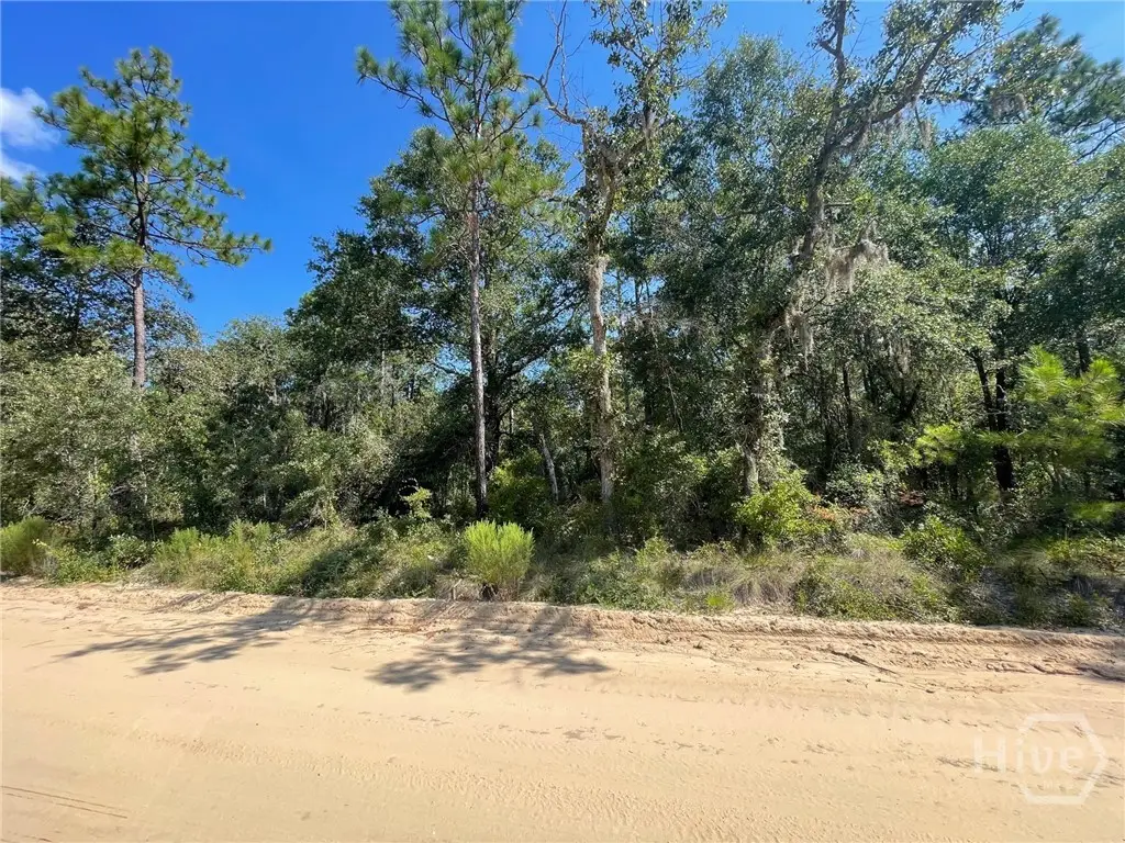 04 Old Augusta Rd, Clyo, GA 31303 - Image #1