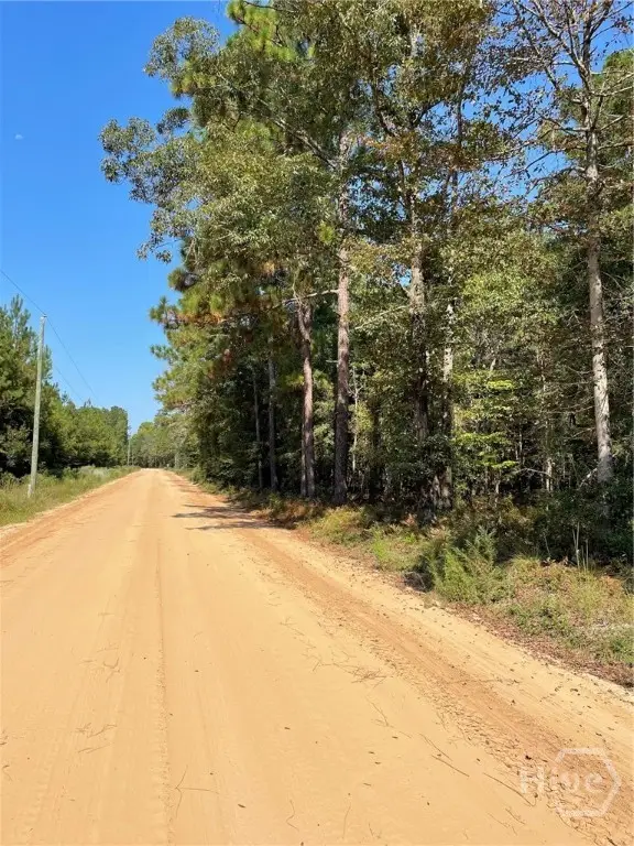 05 Old Augusta Rd, Clyo, GA 31303 - Image #1