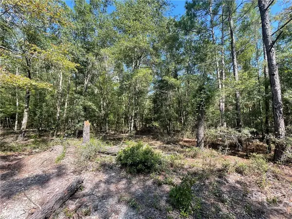 06 Old Augusta Rd, Clyo, GA 31303