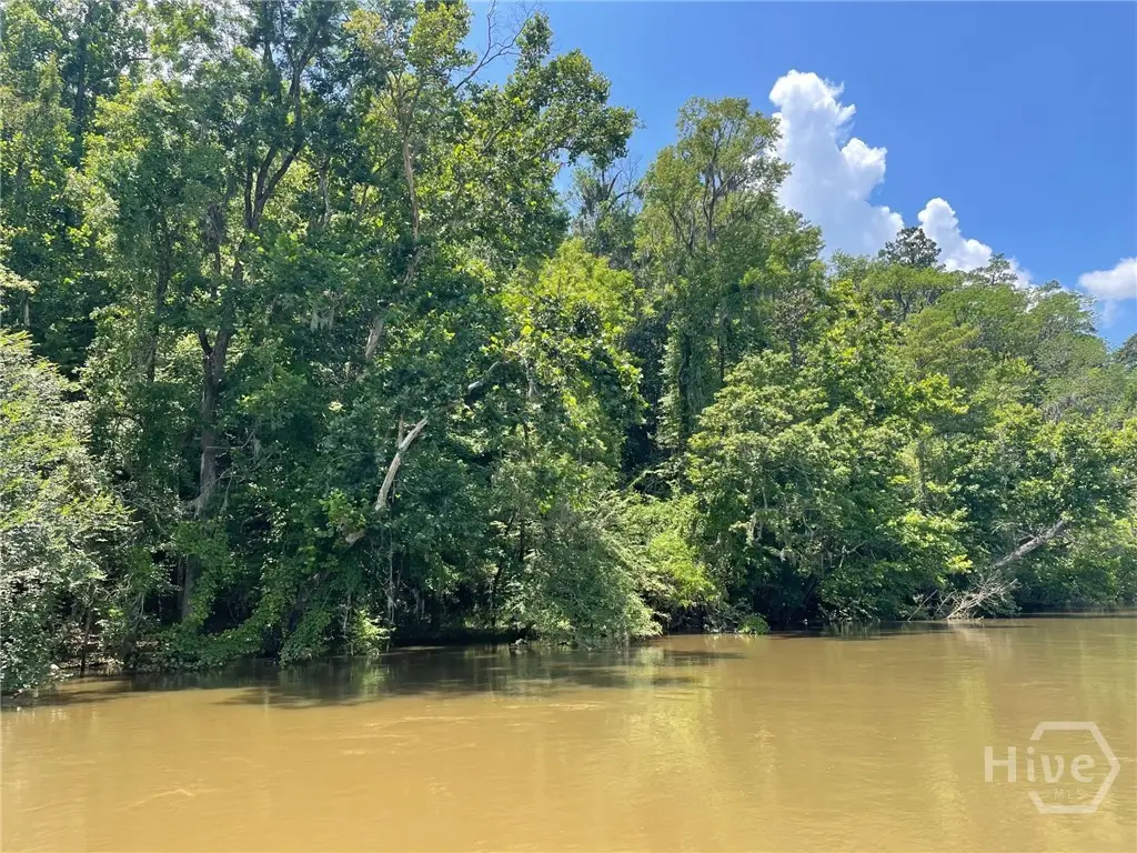 07 Old Augusta Rd, Clyo, GA 31303 - Image #1