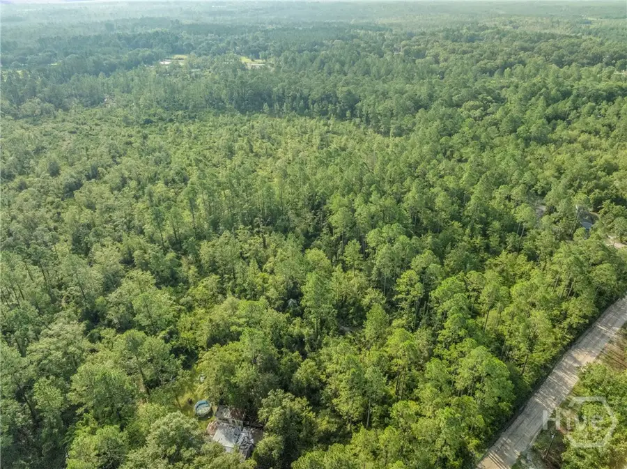 0 Rattler Run, Hortense, GA 31543 - Image #2