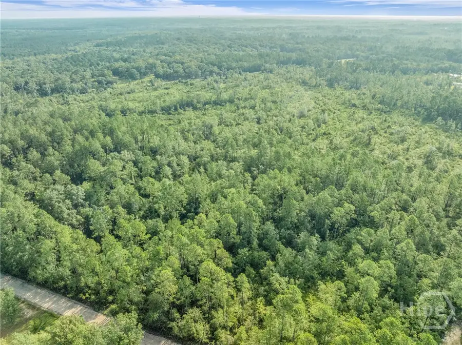 0 Rattler Run, Hortense, GA 31543 - Image #3