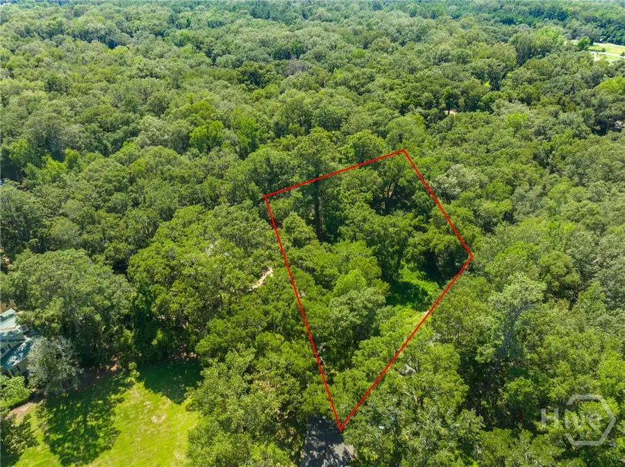 777 Silk Hope Drive, Richmond Hill, GA 31324 - Image #2