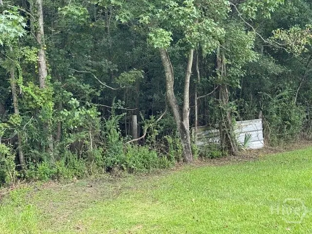 0 Hawkinsville Road, Garden City, GA 31407 - Image #3