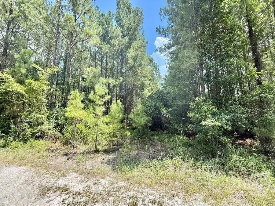 1 Firetower Road, Ludowici, GA 31316 - Image #2