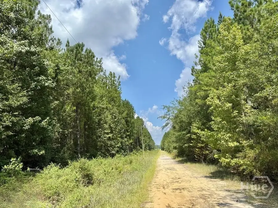 1 Firetower Road, Ludowici, GA 31316 - Image #3