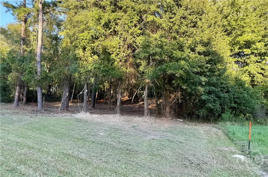 0 Friendship Road, Sylvania, GA 30467 - Image #2