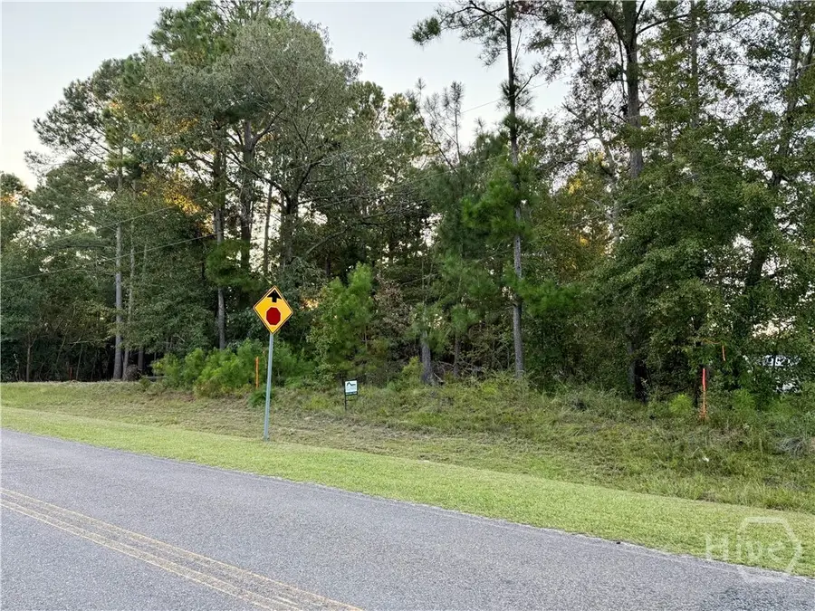 0 Friendship Road, Sylvania, GA 30467 - Image #3