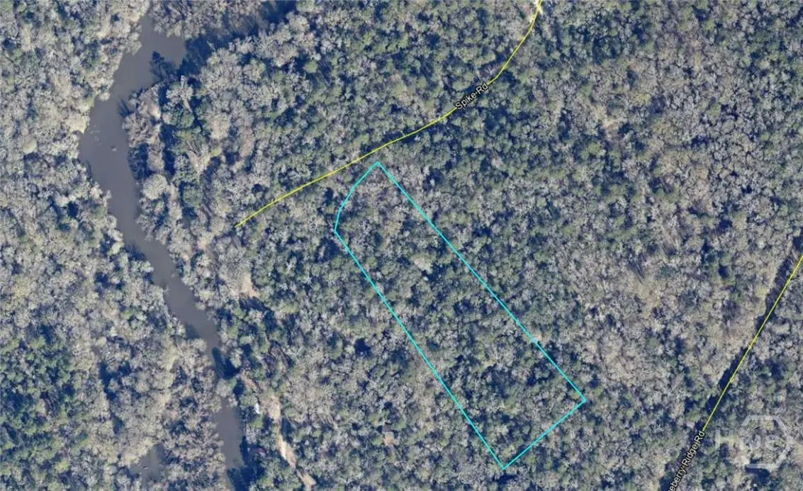 00 Spikes Road, Reidsville, GA 30453 - Image #1