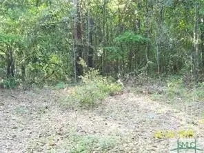 0 Salt Creek Road, Savannah, GA 31405 - Image #1