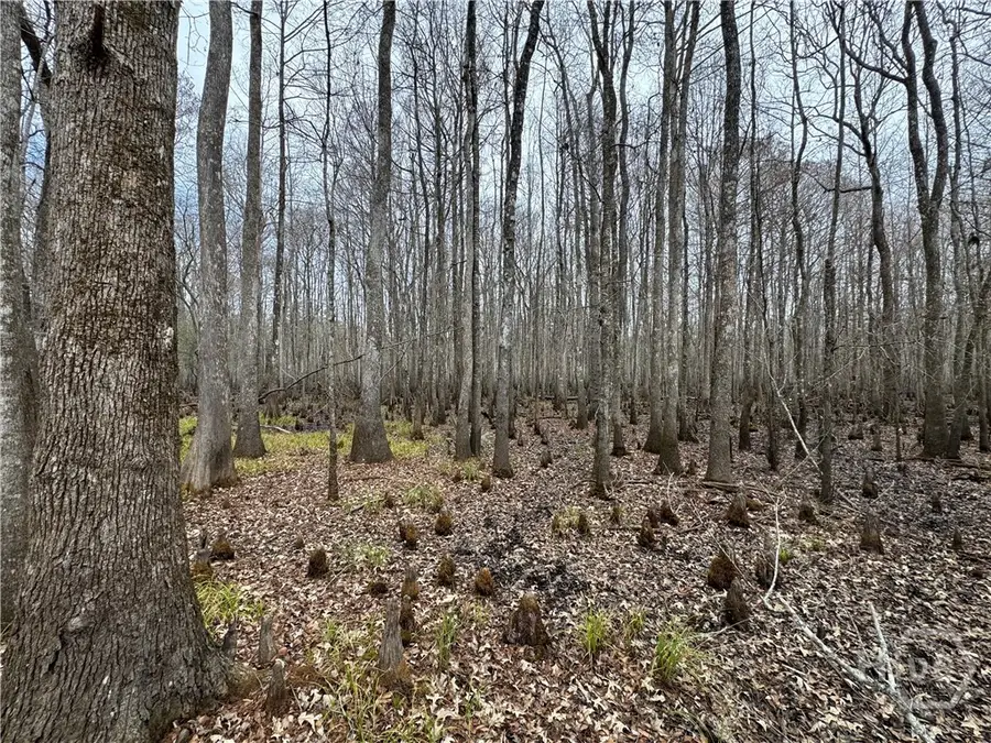 0 Old Hwy 204 Highway, Bloomingdale, GA 31302 - #2