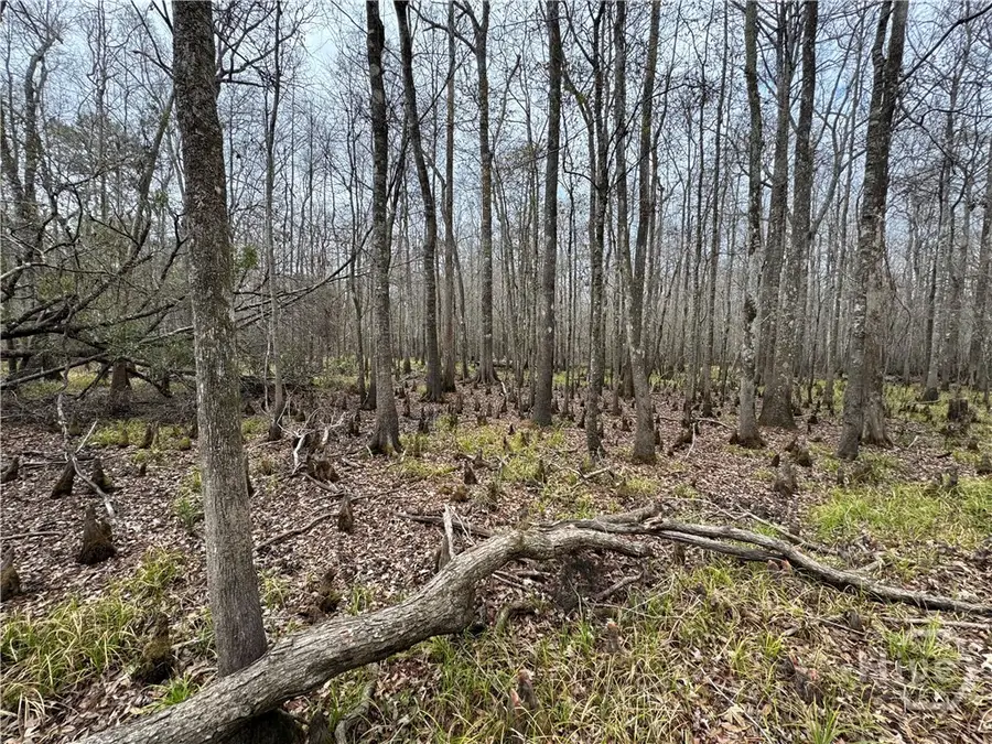 0 Old Hwy 204 Highway, Bloomingdale, GA 31302 - #3