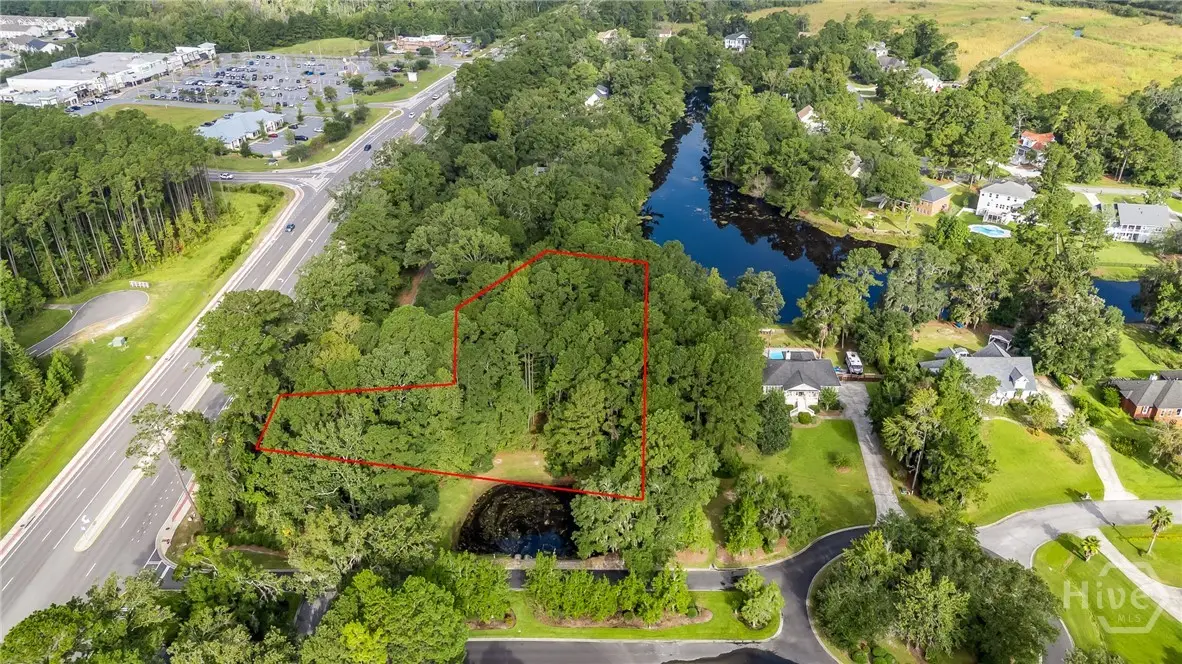 161 S Sterling Woods Drive, Richmond Hill, GA 31324 - Image #1