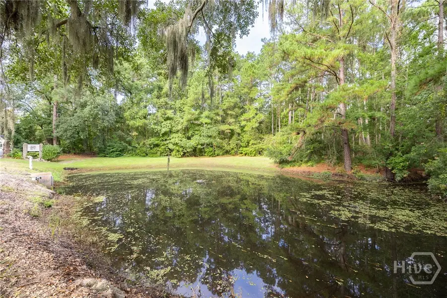 161 S Sterling Woods Drive, Richmond Hill, GA 31324 - Image #2