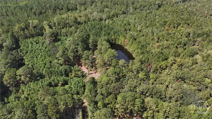 0 Stillwell Clyo Road, Springfield, GA 31329 - Image #2