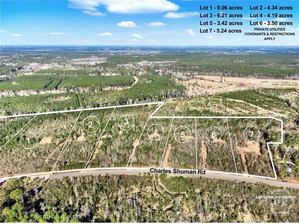 Lot 6 Charles Shuman Road, Pembroke, GA 31321