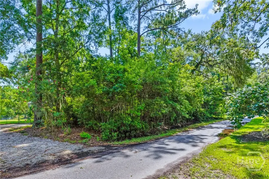 0 Pinetree Road, Midway, GA 31320 - Image #3