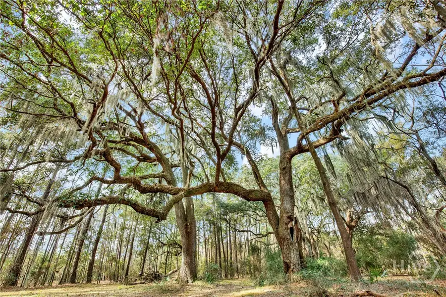 193 Burton Road, Savannah, GA 31405 - Image #3