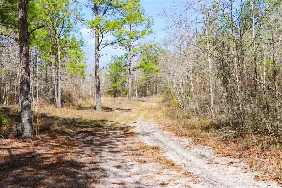 0 Tillman Eason Road, Claxton, GA 30417 - #3