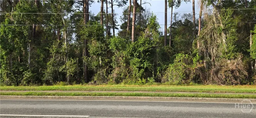 0 E General Stewart, Hinesville, GA 31313 - Image #2
