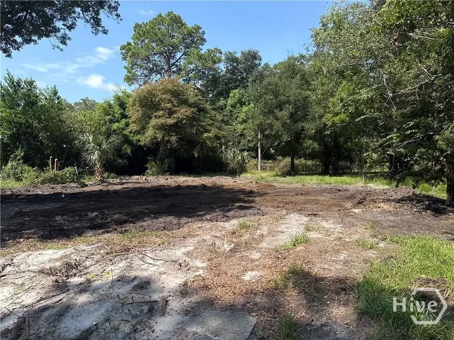 3003 Leonard Street, Savannah, GA 31404 - Image #2