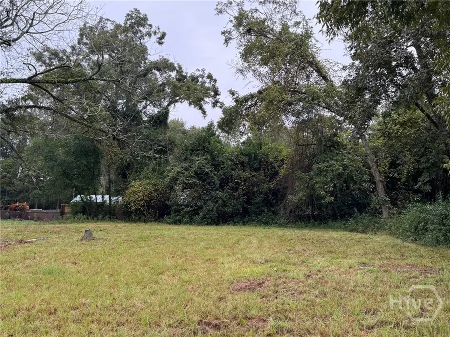 711 W Grady Street, Statesboro, GA 30458 - Image #2