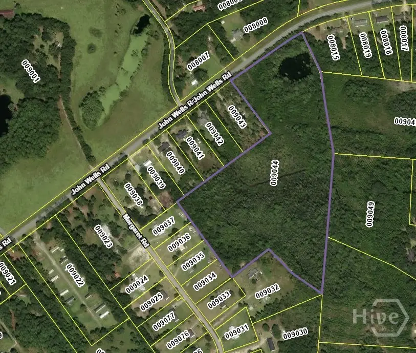 21.57 AC John Wells Road, Hinesville, GA 31313 - Image #1