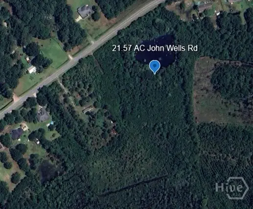 21.57 AC John Wells Road, Hinesville, GA 31313 - Image #3