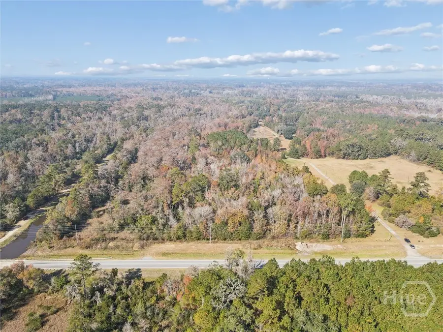 0 S Coastal Highway, Riceboro, GA 31323 - Image #2