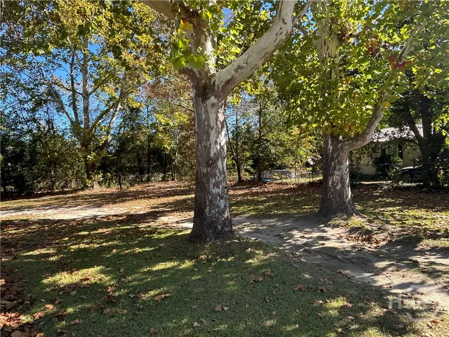 312 Mullis Street, Dexter, GA 31019 - Image #3