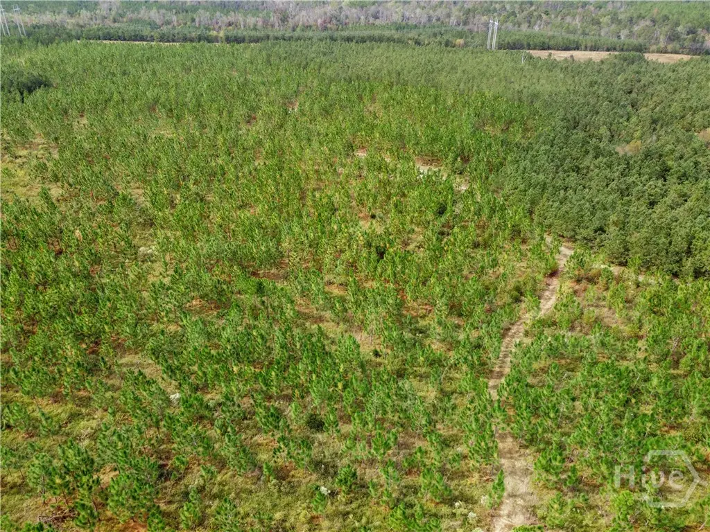 0 Hwy 297 - Tracts 2,3,4 &5, Soperton, GA 30457 - Image #1