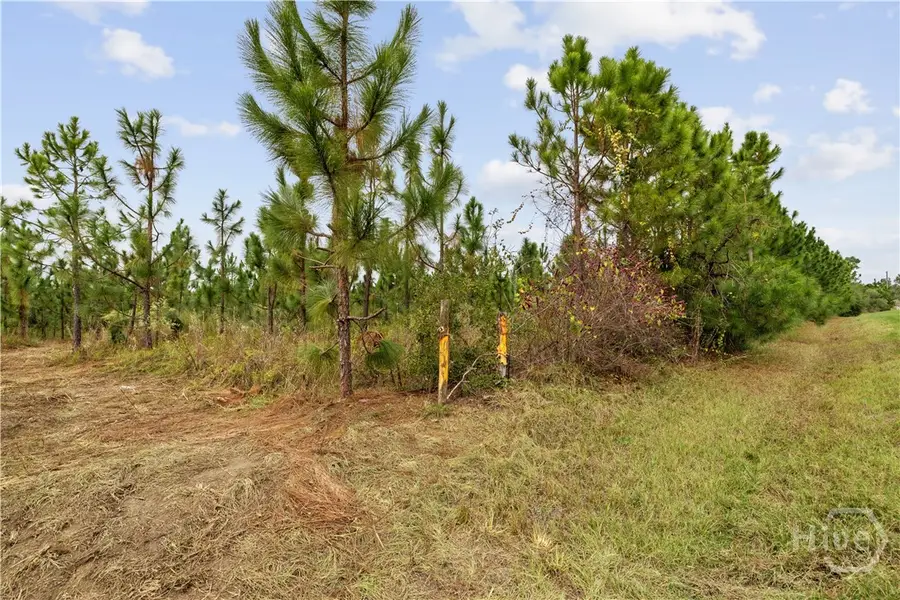0 Hwy 297 - Tract 5, Soperton, GA 30457 - Image #3