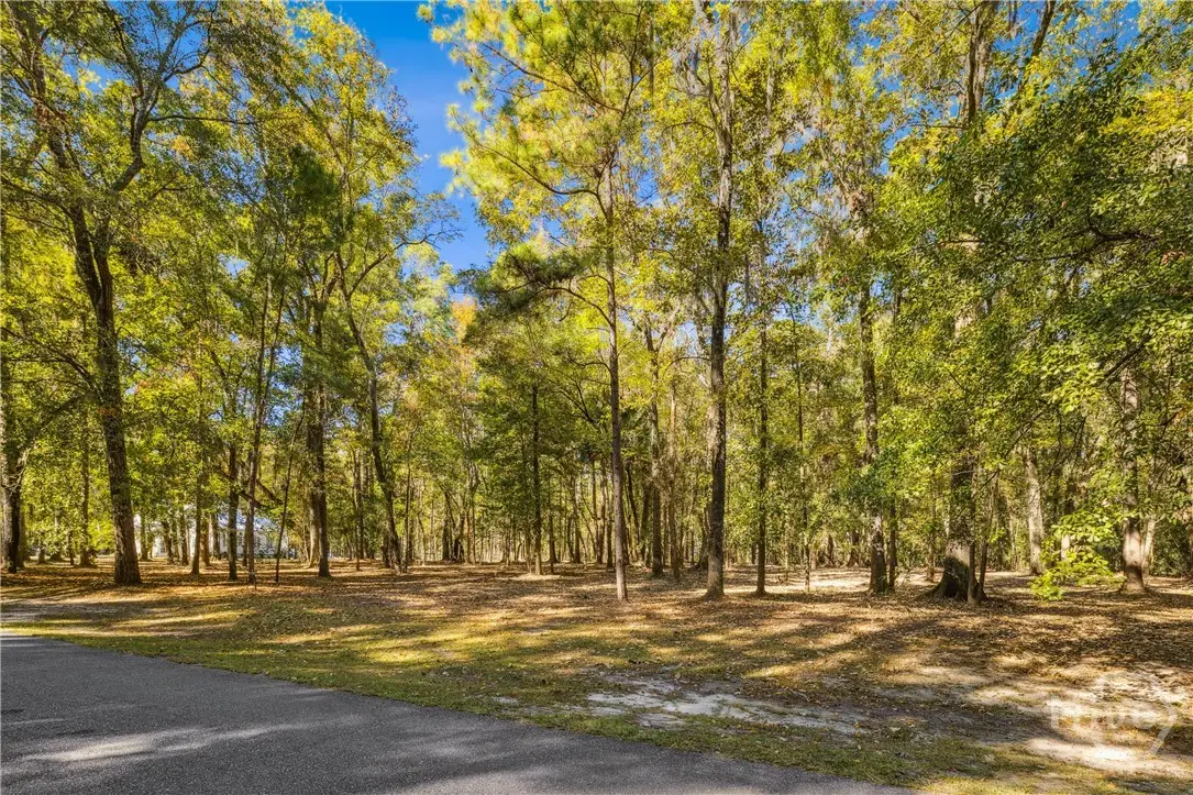 217 Mcallister Landing, Richmond Hill, GA 31324 - #1