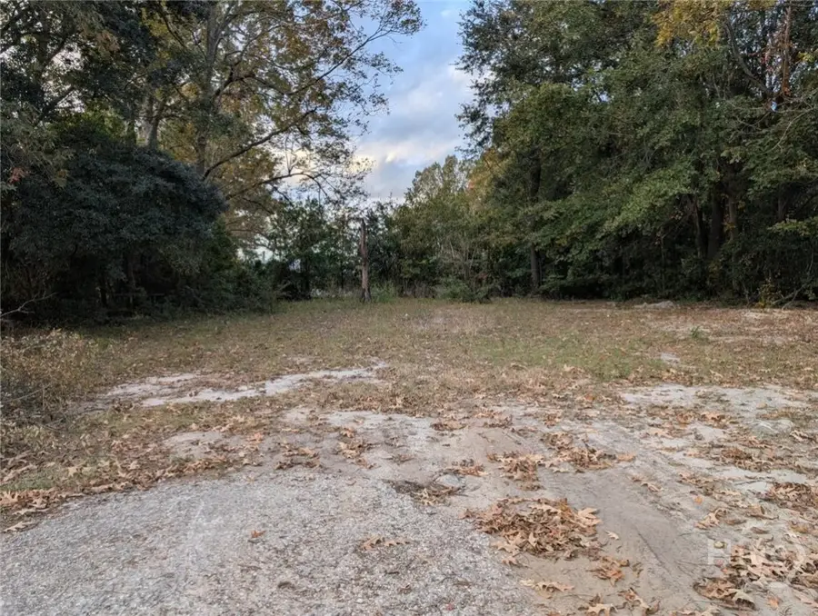 121 Roberts Street, Savannah, GA 31408 - Image #2