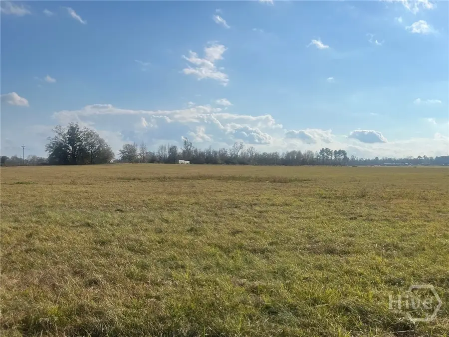 0 Old Savannah Road W, Millen, GA 30442 - Image #2
