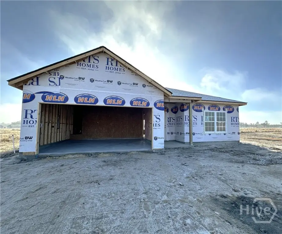 573 Doctor's Creek Road Ne, Ludowici, GA 31316 - Image #1