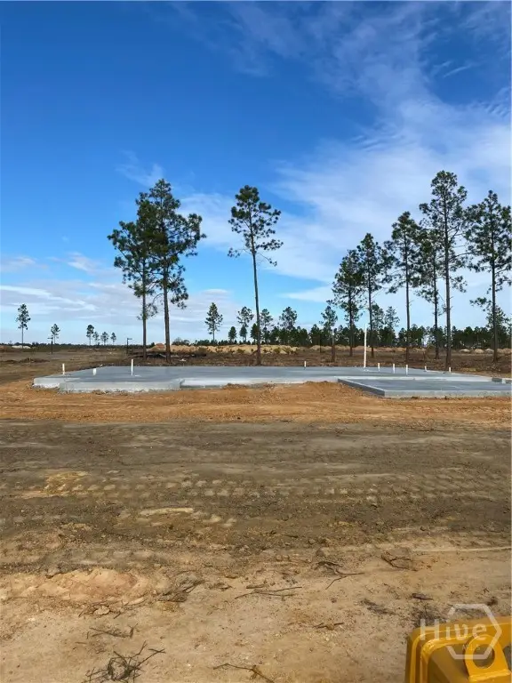 219 Manchester Drive, Statesboro, GA 30461 - Image #1